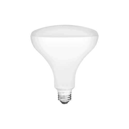 ProLine LED BR40 Lamp – 7.3″, 14W, 27K